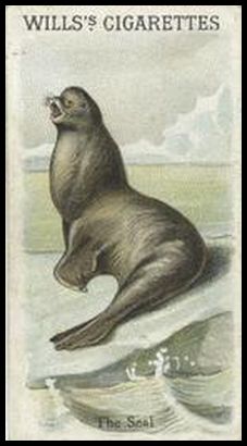 00WA Seal.jpg